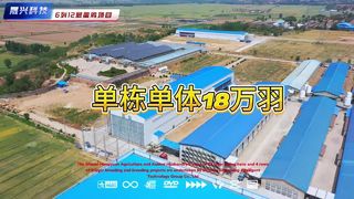 Shanxi hongyuan 12 tiers 6 rows